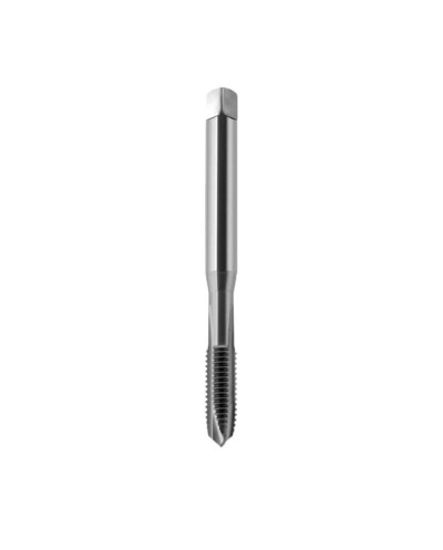 GWINT. 371B  INOX   M 5...