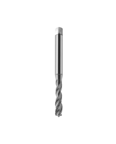 GWINT. 371  INOX   M 10/40°...